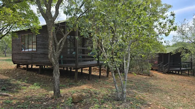 Zebra log cabin at De Wildt.
